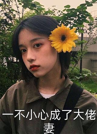 重生后，我一路卷到正处长最新热门小说