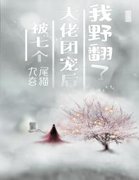 官途，搭上女领导之后！完结版