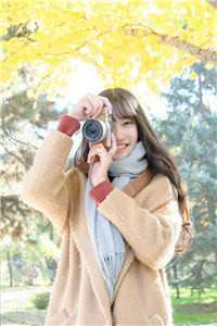 已完结庶子无敌