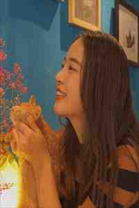 精彩小说重生新婚夜，被偏执大佬亲疯了