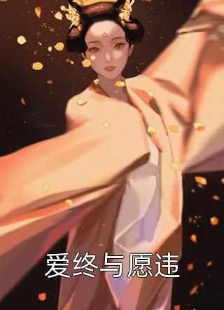 完整版转身为官