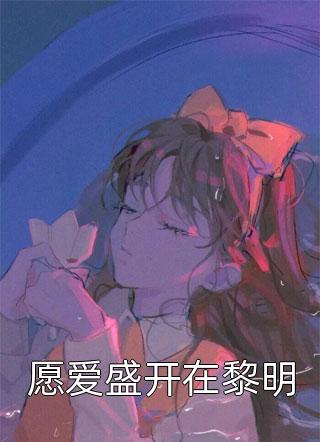 畅读精品小说失忆后，不当你的陆太太
