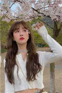 末世来临后,美女全来讨好我精选篇章阅读