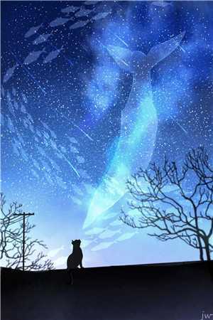 藏于昼夜全章节阅读