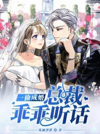 豪门宠婚：小娇妻插翅难飞完整版阅读