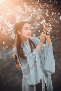 画中人，情终断谢晚婷江时文完结文