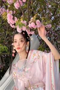 只等飞花尽小说姜疏雨陆辞远完结版