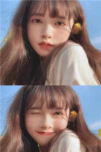 重生小黄狗，狗尾草摇的人眼泪掉