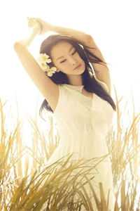 盛夏难挽