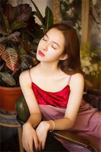 破碎心与甜蜜爱：弃女的豪门恋
