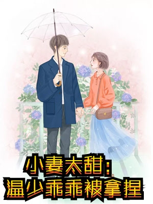 失忆以后，疯批老公诱我入怀完结版