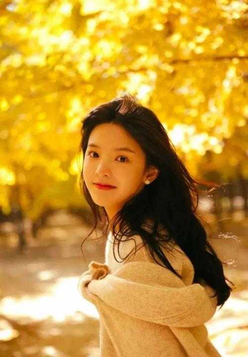飞鸟与鱼不相逢