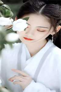 落花时节君不在