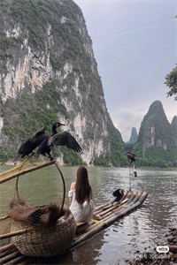昏迷五年后，老公婚礼当天我醒了