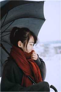禁忌森林