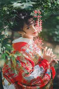 涅槃玫瑰:全文+结局+番外