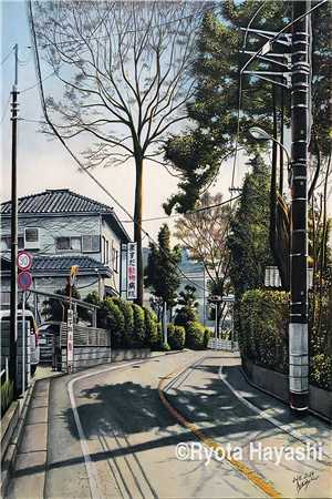 谁能看见暗室里的光林夏陆沉全集