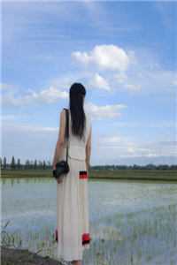 爽文女主换赛道，恶毒反派我当定了顾悦李青棠:全文+后续+结局