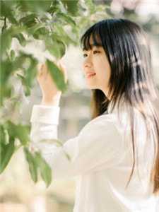 璃别两欢，不负相见张恒婉儿