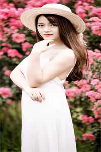 徐曼莉沈如枝的小说听障妻子同意离婚后免费阅读