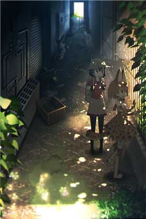 深爱无果热门小说乔晚情江婉