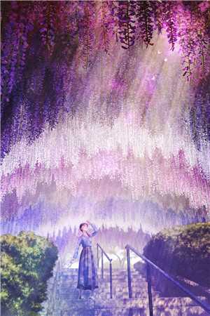 亲妈为野种害我眼瞎方子默秦雨薇全文+番茄