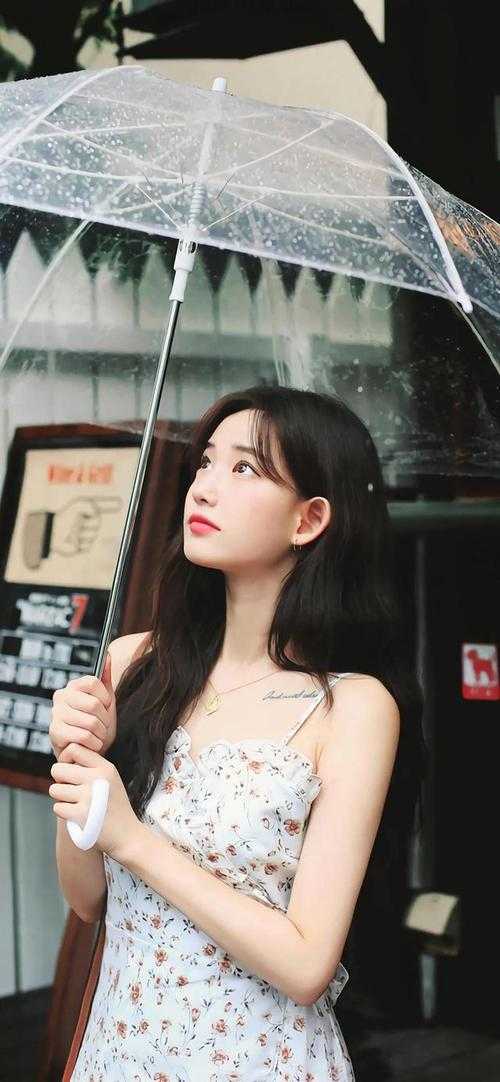 岁月如初见苏悦沈念:结局+番外+完结