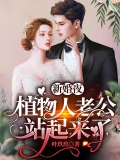 他从疯人院走来，为我疯一世苏眠傅沉舟全集