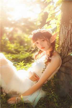 苏木不知春秦权苏木全章节免费阅读