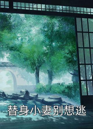 我是来自哈基米星球的星舰飞船商番外