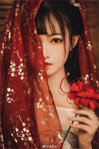 十年婚姻，我活成笑话全本+番外+后续
