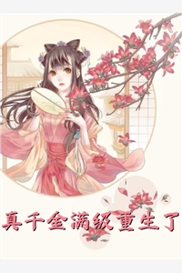 未寄的冬信时林晚沈砚清小说